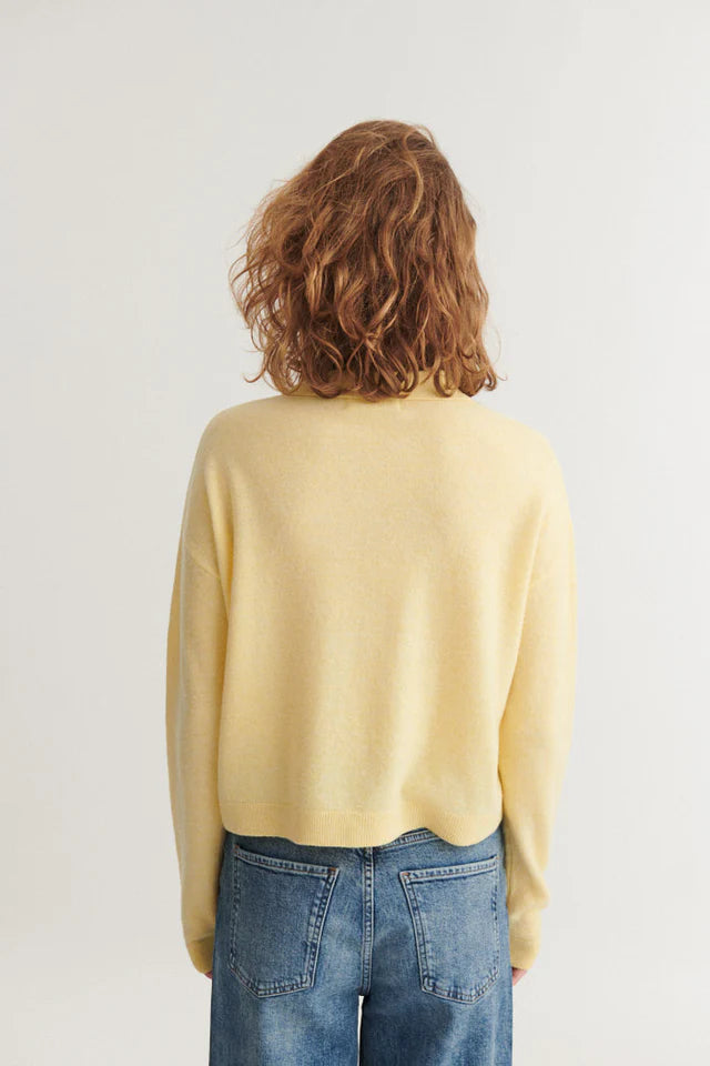 BASIC APPAREL Strick-Polo Selem Polo